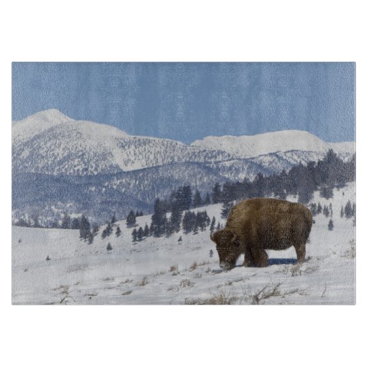VS, WY, Yellowstone NP, American Bison Bison Snijplank (Voorkant)