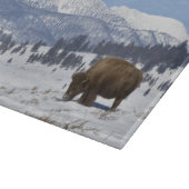 VS, WY, Yellowstone NP, American Bison Bison Snijplank (Hoek)