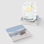 VS, WY, Yellowstone NP, American Bison Bison Stenen Onderzetter (Zijkant)