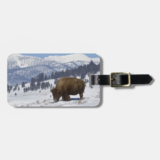 VS, WY, Yellowstone NP, Amerikaanse bizon Bison Bagagelabel (Voorkant horizontaal)
