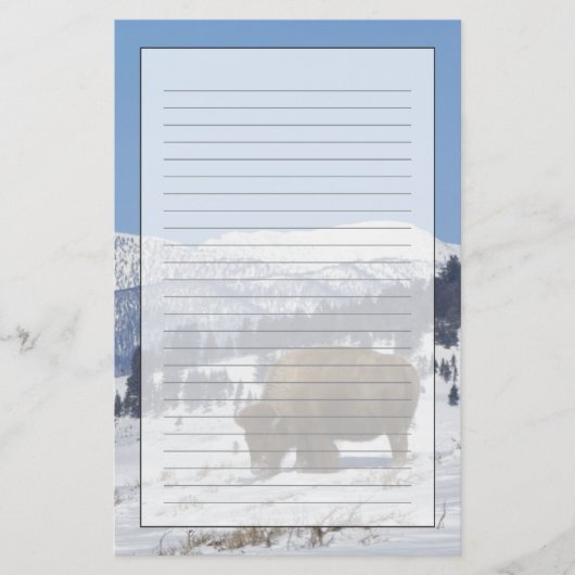 VS, WY, Yellowstone NP, Amerikaanse bizon Bison Briefpapier (Voorkant)
