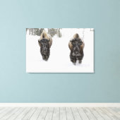 VS, WY, Yellowstone NP, Amerikaanse bizon (Bison Canvas Afdruk (Insitu (Houten vloer))