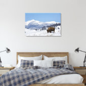 VS, WY, Yellowstone NP, Amerikaanse bizon Bison Canvas Afdruk (Insitu (Slaapkamer))