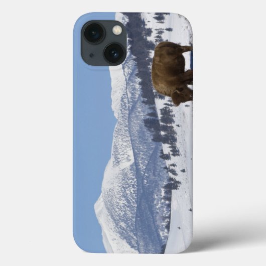 VS, WY, Yellowstone NP, Amerikaanse bizon Bison Case-Mate iPhone Case (Achterkant)