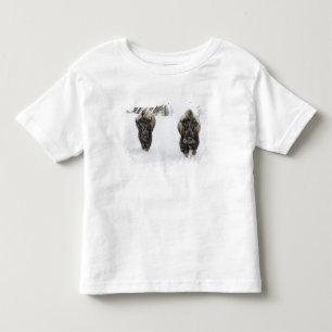 VS, WY, Yellowstone NP, Amerikaanse bizon (Bison Kinder Shirts