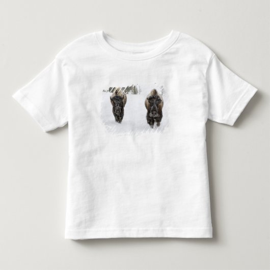 VS, WY, Yellowstone NP, Amerikaanse bizon (Bison Kinder Shirts (Voorkant)