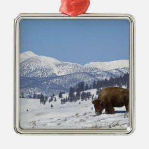 VS, WY, Yellowstone NP, Amerikaanse bizon Bison Metalen Ornament