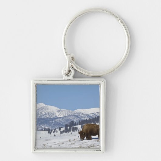 VS, WY, Yellowstone NP, Amerikaanse bizon Bison Sleutelhanger (Voorkant)