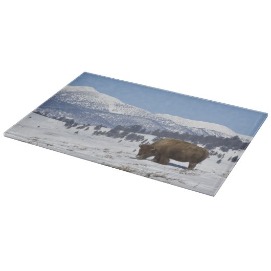 VS, WY, Yellowstone NP, Amerikaanse bizon Bison Snijplank (Hoek)