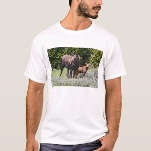 VS, Wyoming, Bighorn Mountains, eland Alces T-shirt