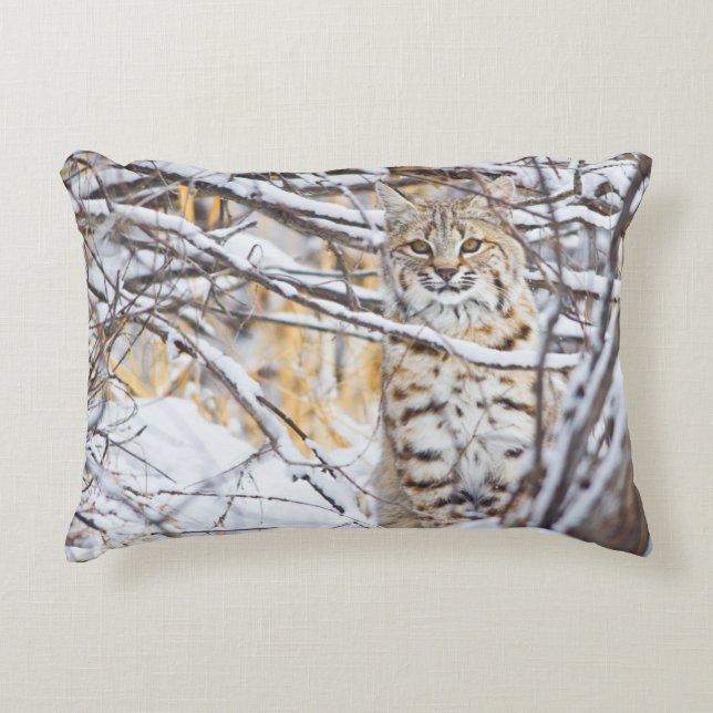 VS, Wyoming, Bobcat Accent Kussen (Voorkant)