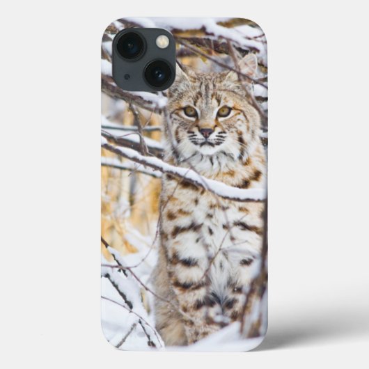VS, Wyoming, Bobcat Case-Mate iPhone Case (Achterkant)