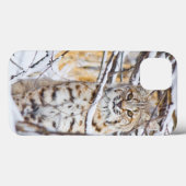 VS, Wyoming, Bobcat Case-Mate iPhone Case (Achterkant (horizontaal))