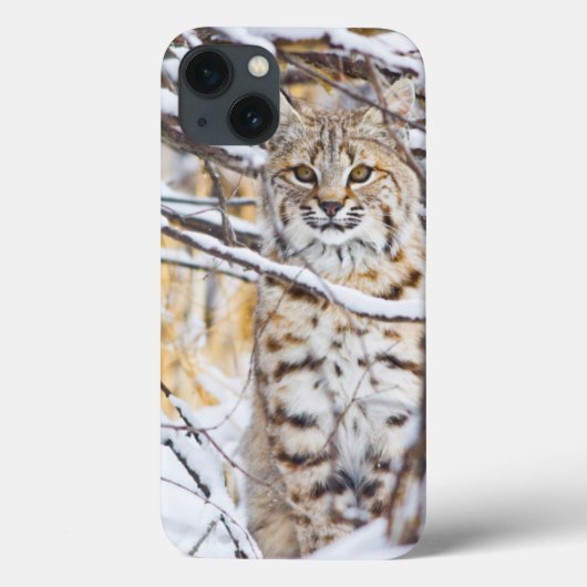 VS, Wyoming, Bobcat Case-Mate iPhone Case (Achterkant)