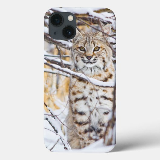 VS, Wyoming, Bobcat Case-Mate iPhone Case (Achterkant)