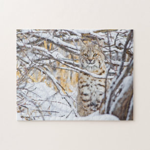 VS, Wyoming, Bobcat Legpuzzel