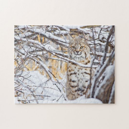 VS, Wyoming, Bobcat Legpuzzel (Horizontaal)