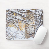 VS, Wyoming, Bobcat Muismat (Met muis)