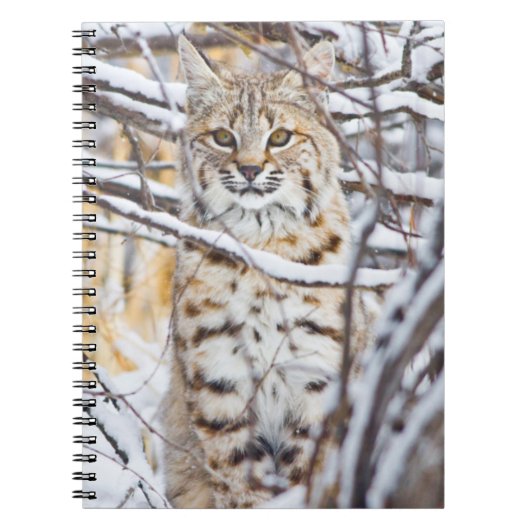 VS, Wyoming, Bobcat Notitieboek (Voorkant)