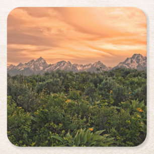 VS, Wyoming, Grand Teton National Park 1 Kartonnen Onderzetters