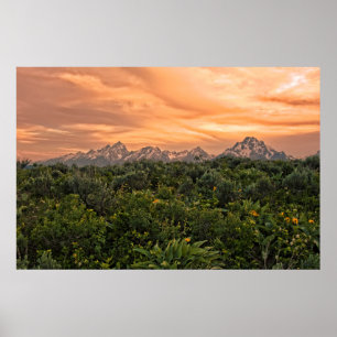 VS, Wyoming, Grand Teton National Park 1 Poster