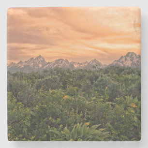 VS, Wyoming, Grand Teton National Park 1 Stenen Onderzetter