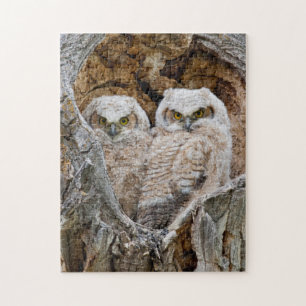 VS, Wyoming, Grand Teton National Park Legpuzzel