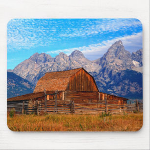 VS, Wyoming, Grand Teton National Park. Muismat