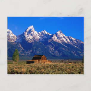 VS, Wyoming, Grand Teton National Park, Ochtend Briefkaart