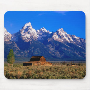 VS, Wyoming, Grand Teton National Park, ochtend Muismat