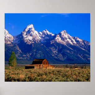VS, Wyoming, Grand Teton National Park, Ochtend Poster