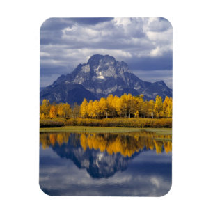 VS, Wyoming, Grand Teton NP. Tegen de Magneet