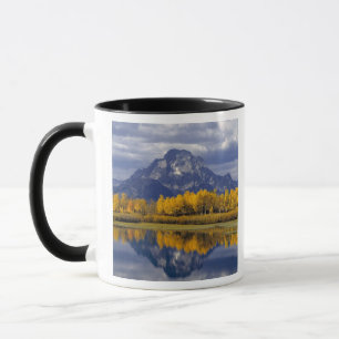 VS, Wyoming, Grand Teton NP. Tegen de Mok