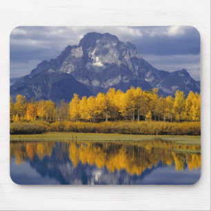 VS, Wyoming, Grand Teton NP. Tegen de Muismat