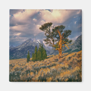 VS, Wyoming, Grand Teton NP. Zonsopgang begroet ee Magneet