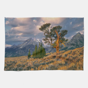 VS, Wyoming, Grand Teton NP. Zonsopgang begroet ee Theedoek