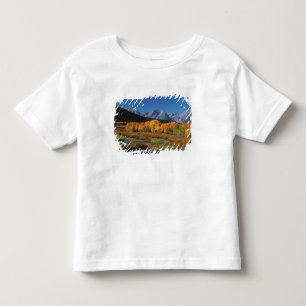 VS, Wyoming, Grand Tetons National Park in Kinder Shirts