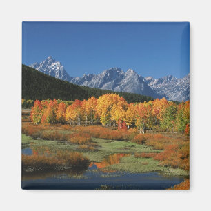 VS, Wyoming, Grand Tetons National Park in Magneet