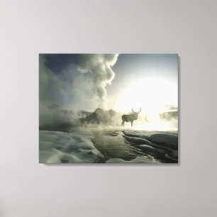 VS, Wyoming, Nationaal park Yellowstone. Zonsopgan Canvas Afdruk