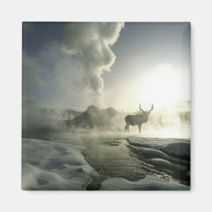 VS, Wyoming, Nationaal park Yellowstone. Zonsopgan Magneet