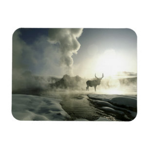 VS, Wyoming, Nationaal park Yellowstone. Zonsopgan Magneet