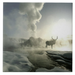 VS, Wyoming, Nationaal park Yellowstone. Zonsopgan Tegeltje