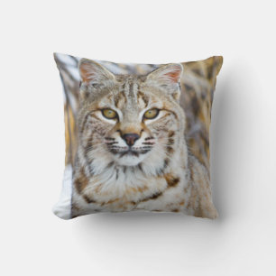 VS, Wyoming, Portret van Bobcat Kussen