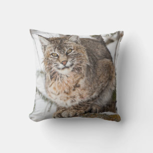 VS, Wyoming, Yellowstone National Park, Bobcat Kussen
