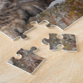 VS, Wyoming, Yellowstone National Park, Bobcat Legpuzzel (Zijkant)