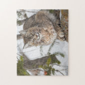 VS, Wyoming, Yellowstone National Park, Bobcat Legpuzzel (Verticaal)