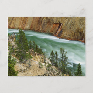 VS, Wyoming, Yellowstone National Park Briefkaart