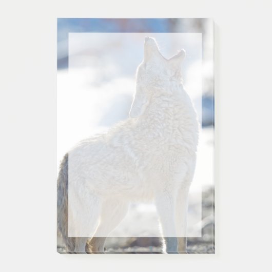 VS, Wyoming, Yellowstone National Park, Coyote Post-it® Notes (Voorkant)