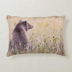 VS, Wyoming, Yellowstone National Park, Grizzly 2 Accent Kussen