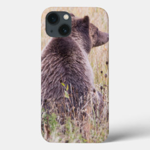 VS, Wyoming, Yellowstone National Park, Grizzly 2 Case-Mate iPhone Case